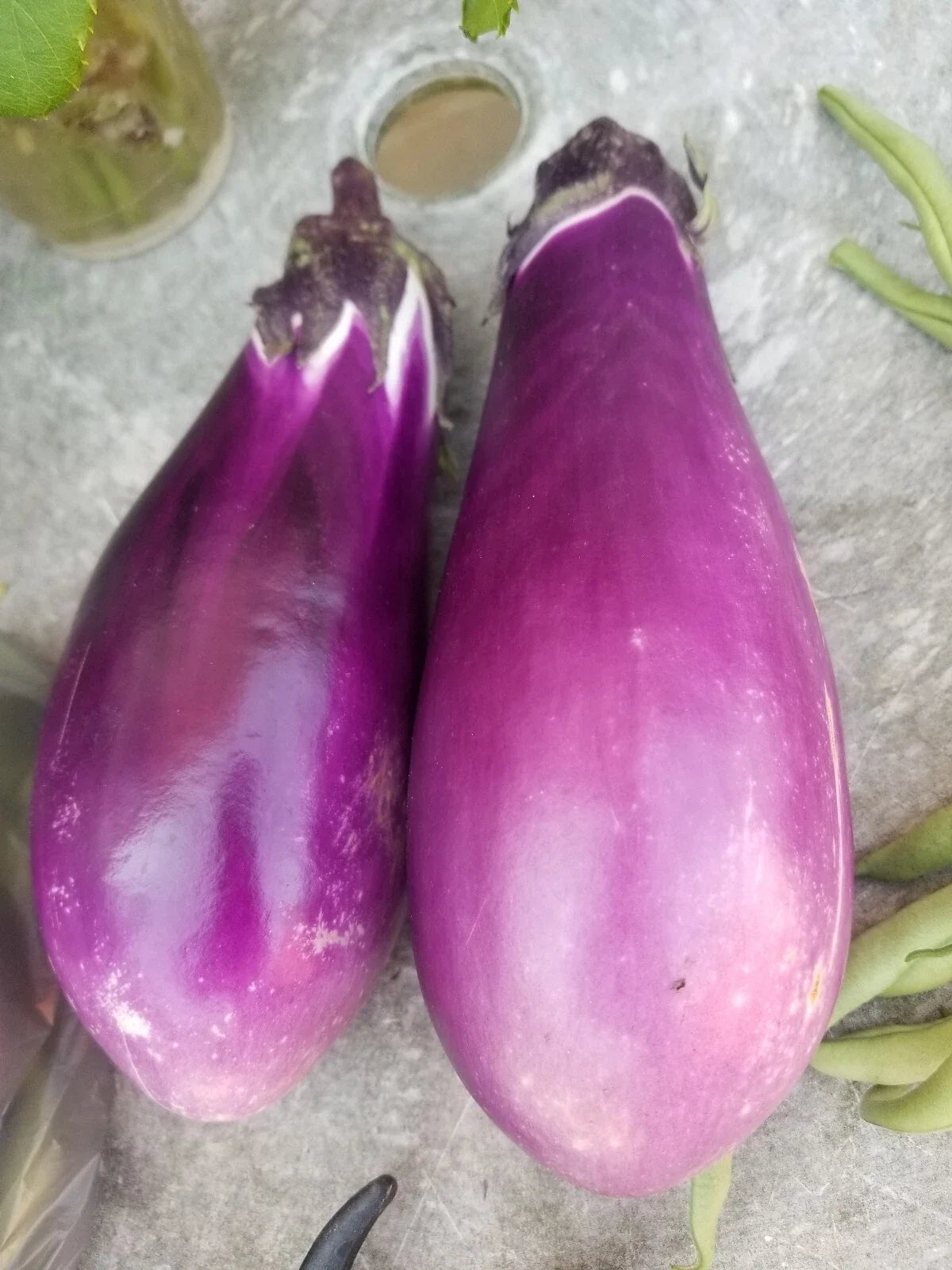 Eggplant Seeds Pack, Solanum melongena, Bush Variety, Non-GMO, Home Garden, Container Gardening, Vegetable Seeds