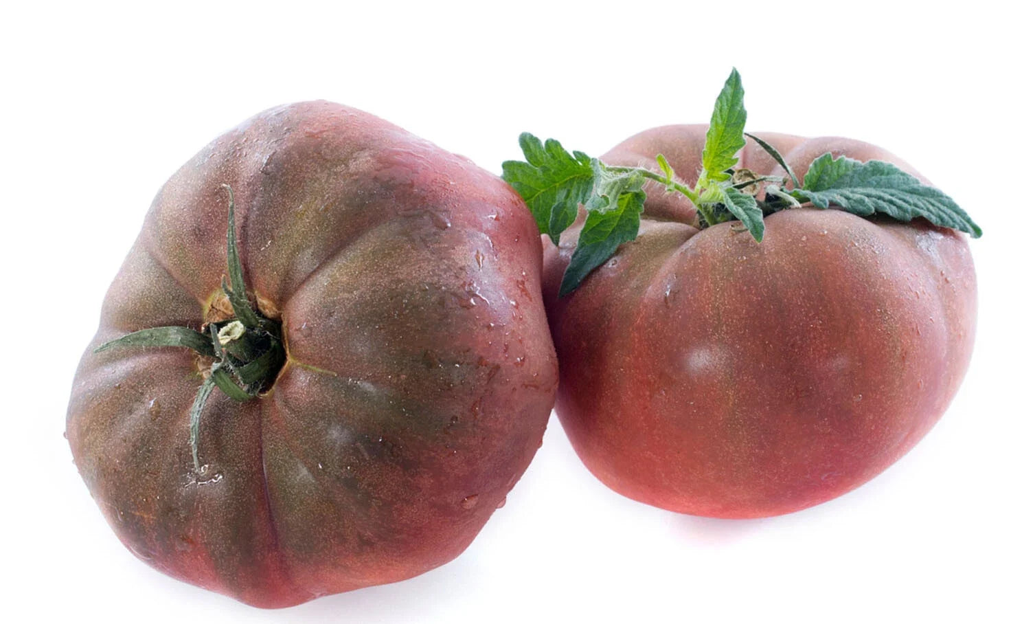 Organic Black Krim Tomato Seeds - Heirloom Russian Beefsteak, Non-GMO, 50+ Seeds for Home Garden, Juicy, Flavorful, Full Sun, Easy to Grow