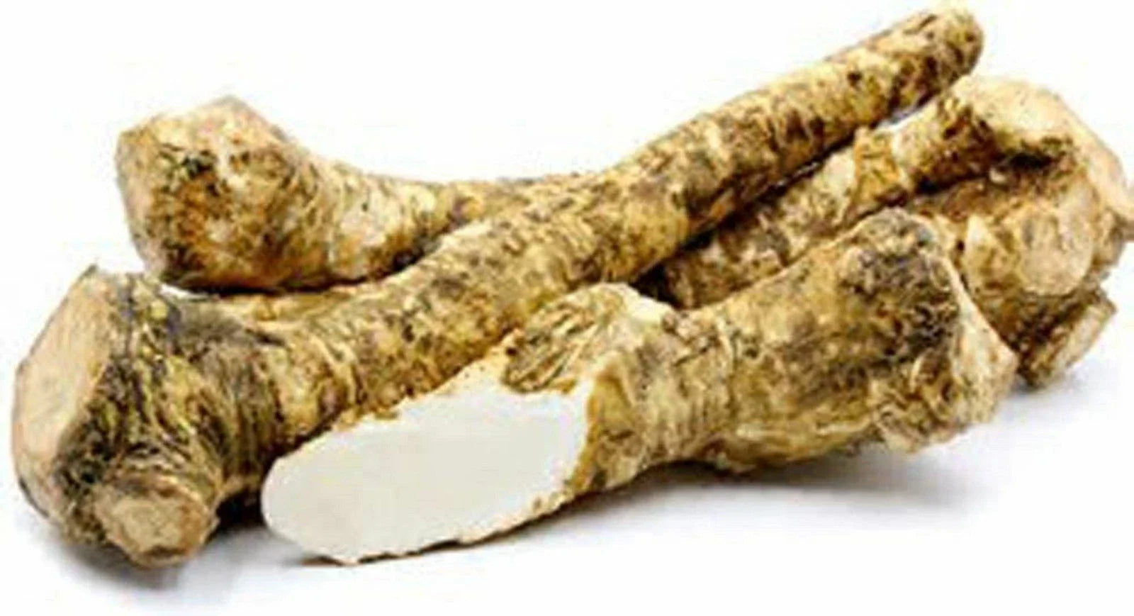 Fresh Horseradish Root Whole – Armoracia rusticana, Edible & Planting, Non-GMO, Ready to Use or Grow