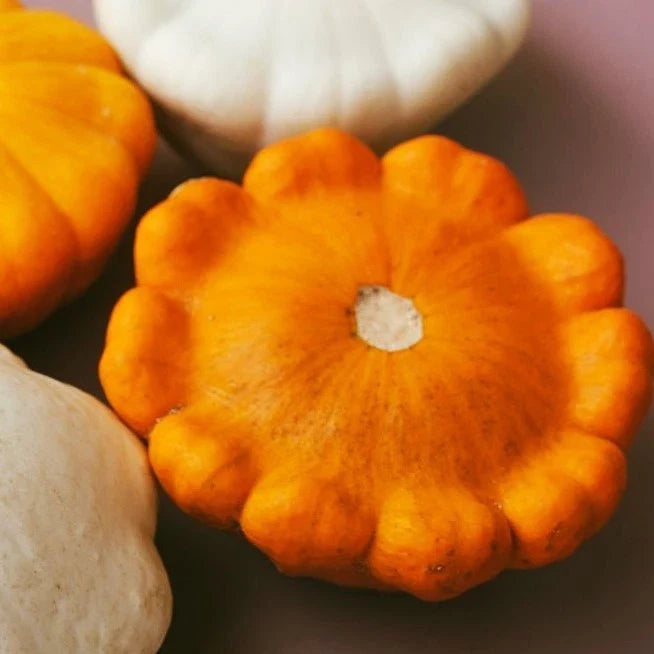 Orange Patty Pan Seeds - Heirloom Bush Scallop Squash - Cucurbita pepo - Compact, Vibrant Orange, Annual Vegetable, Full Sun, Non-GMO
