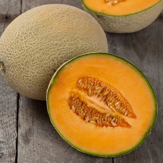 Hales Best Jumbo Cantaloupe Seeds - 100 Count Non-GMO Cucumis melo