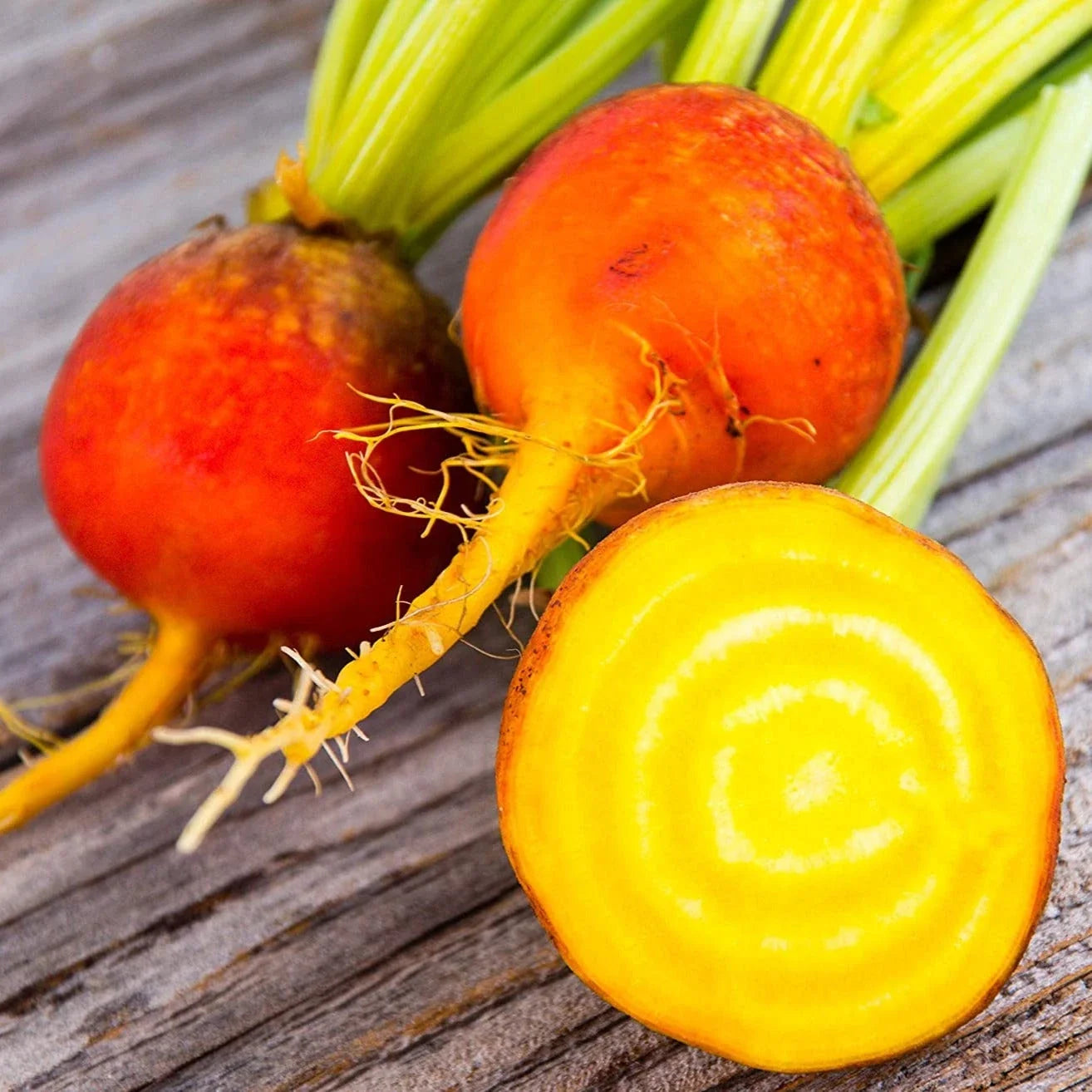 Golden Beet Seeds - 100+ Count, Yellow & Orange Beta vulgaris, Edible Root, Non-GMO, Easy to Grow, Perfect for 2025 Planting