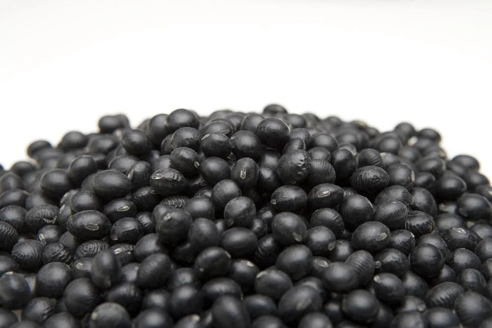 Black Soybean Seeds for Planting - Organic Non-GMO Glycine max, 1 lb