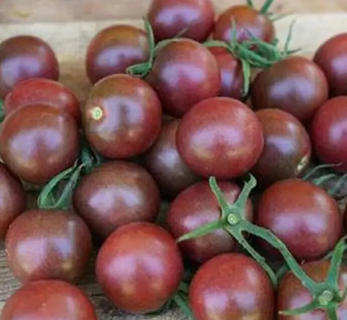 Black Cherry Tomato Seeds - 20+ Indeterminate Variety for Garden Salad | Solanum lycopersicum