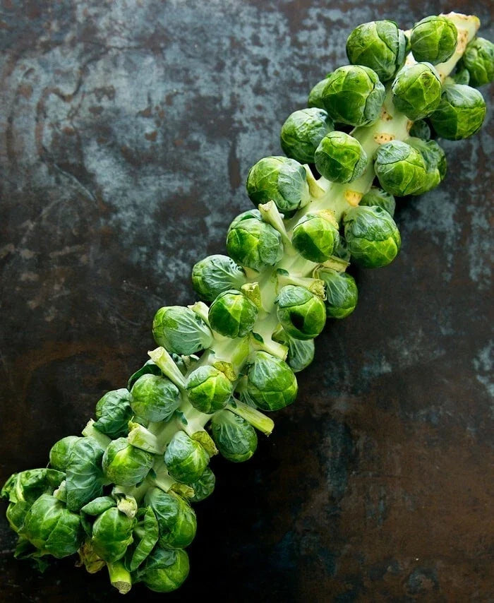Brussels Sprouts Seeds - 25 Non-GMO Heirloom Brassica oleracea var. gemmifera Vegetable Seeds