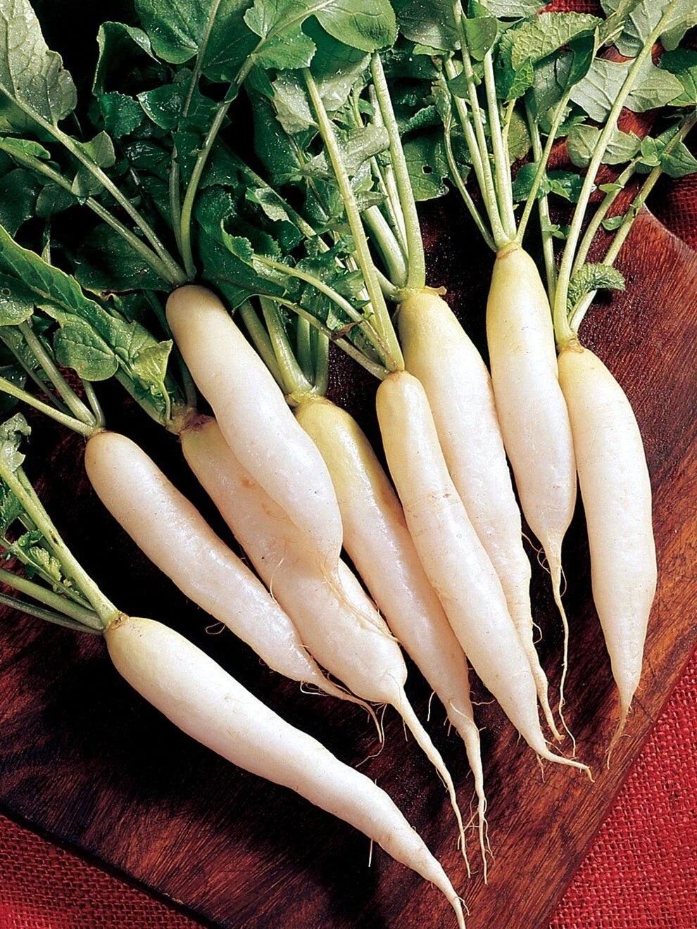 White Icicle Radish Seeds - Heirloom Organic Non-GMO Raphanus sativus, 200+ Seeds for Home Garden, Fast-Growing, Crisp & Refreshing