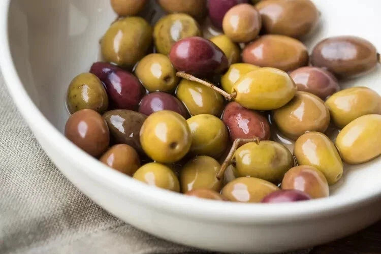 Liguria Olive Seeds - 10+ Pack for Gardening - Olea europaea - Evergreen Tree, Full Sun, Drought Tolerant