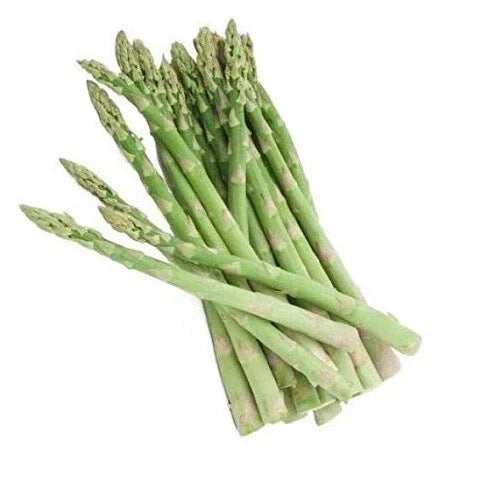 Asparagus Seeds - Perennial Drought Tolerant UC 72 - Asparagus officinalis - Open-Pollinated Vegetable Seeds