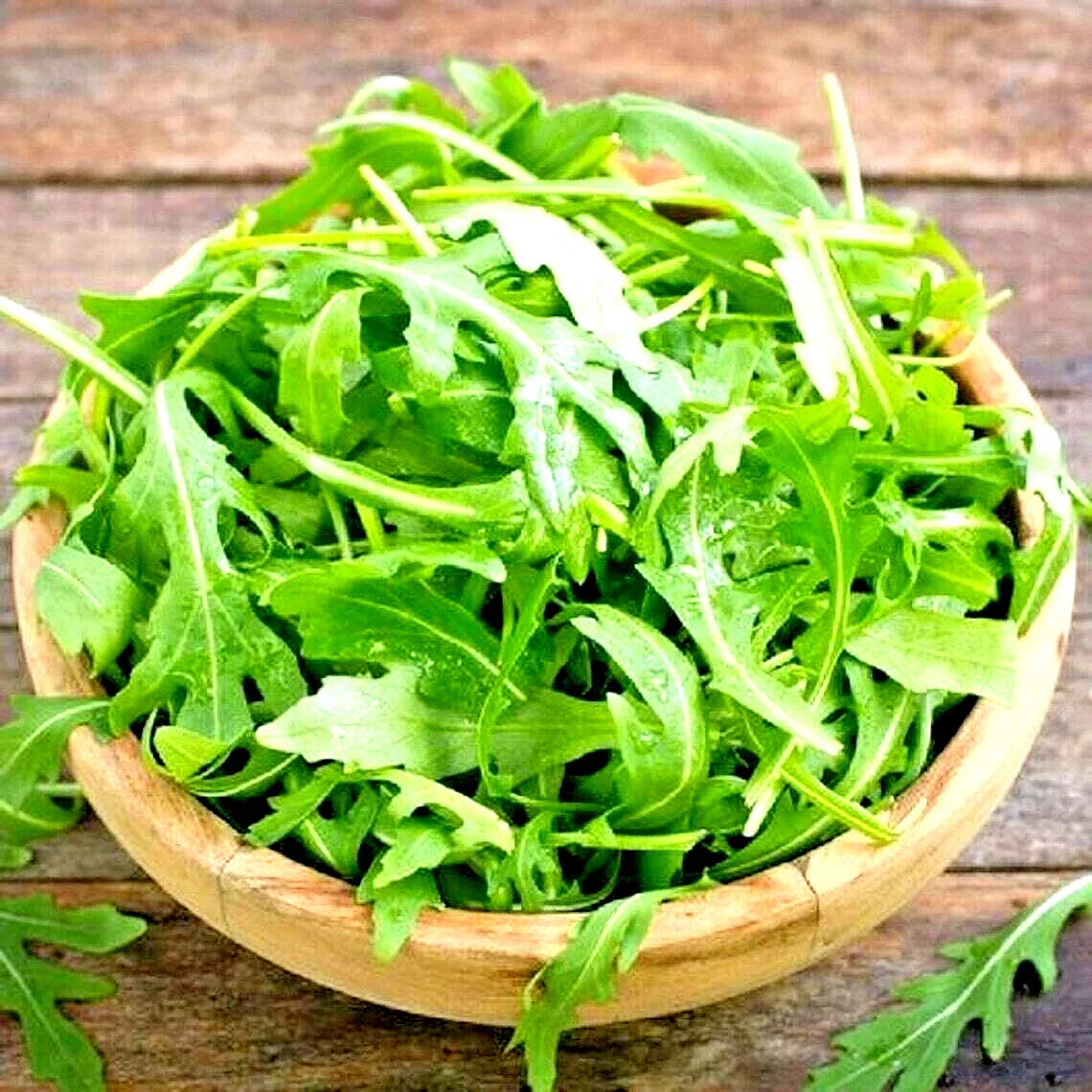 Arugula Seeds - 200 Count Non-GMO for Spring Gardening and Microgreens