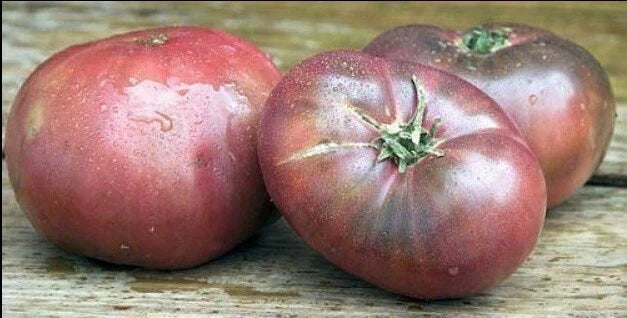 Cherokee Purple Tomato Seeds - 30 Heirloom Vegetable Seeds - Dark Purple Fruit - Solanum lycopersicum