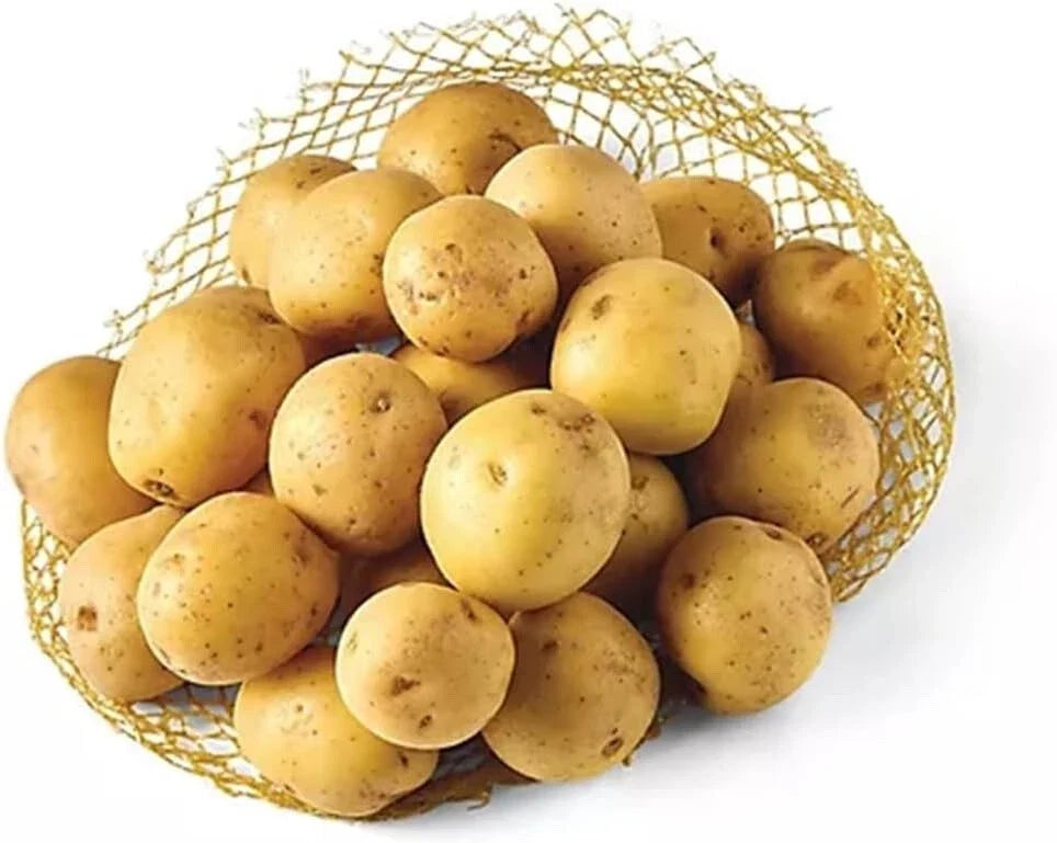 Mini Seed Potatoes for Planting - Vista Gold Yellow Skin Solanum tuberosum, Compact, High Yield