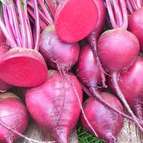 Merlin Beet Seeds - Beta vulgaris - Fresh Vegetable Seeds for Home Gardening