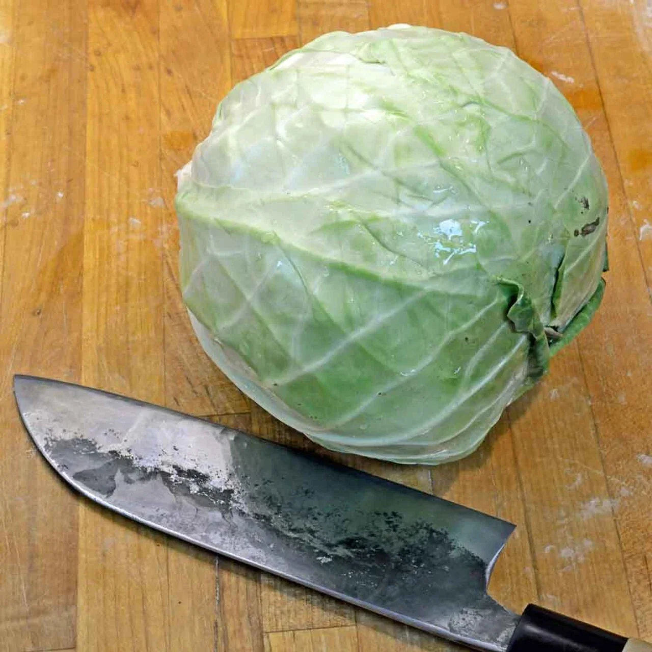 Cabbage Seeds 2000+ Danish Ballhead Heirloom NON-GMO Fresh Seeds Brassica oleracea