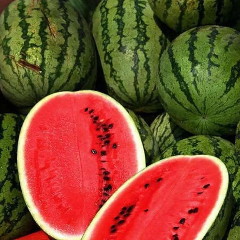 Organic Sweet Watermelon Seeds - 50 Pack Citrullus lanatus for Home Garden, Juicy Fruit, Free Shipping