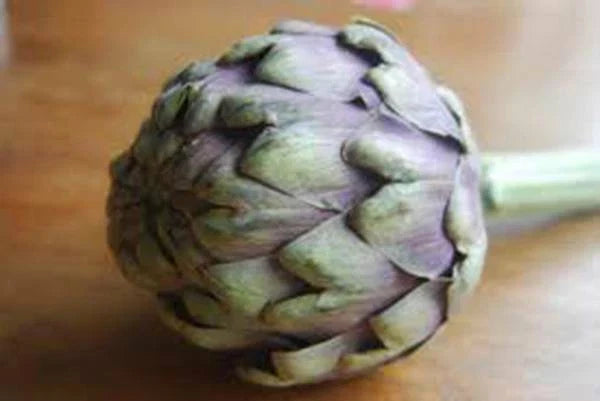 Artichoke Seeds - 500 Heirloom Green Globe Non-GMO Seeds for Home Gardening