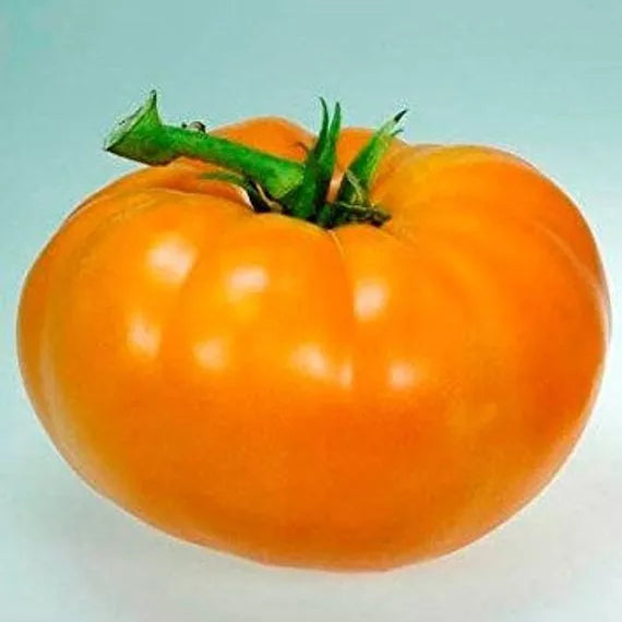 Amana Orange Tomato Seeds - 30 Non-GMO Heirloom Seeds for Garden