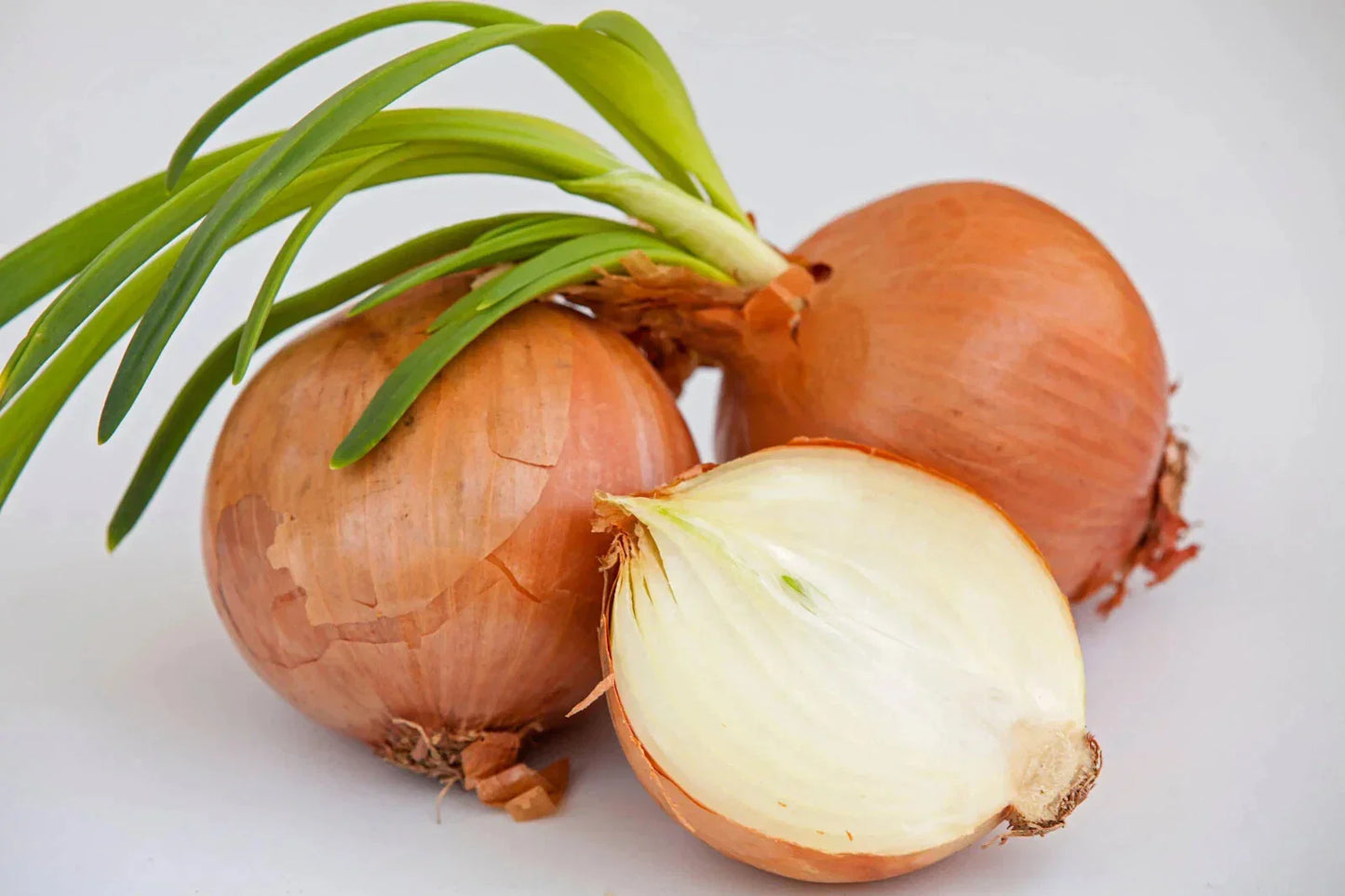 Yellow Sweet Spanish Onion Seeds - Non-GMO Heirloom Allium cepa with Tracking