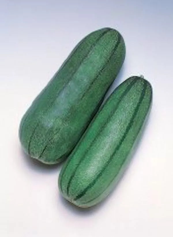 Pickling Melon Seeds – Green Striped Cucumis melo var. conomon – Non-GMO, Heirloom, Compact Vining Plant, Free Shipping USA