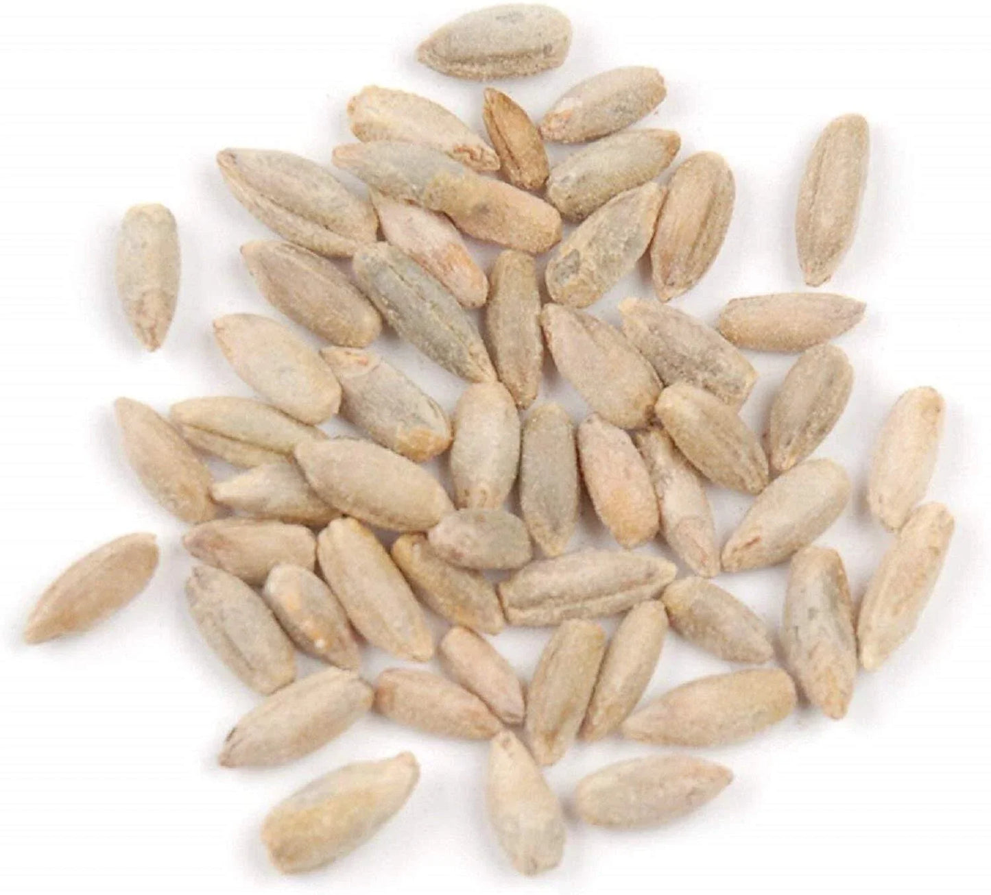 Rye Berries 8 OZ | Whole Grain High Fiber & Iron | Secale cereale | Healthy Grain for Salads & Cooking