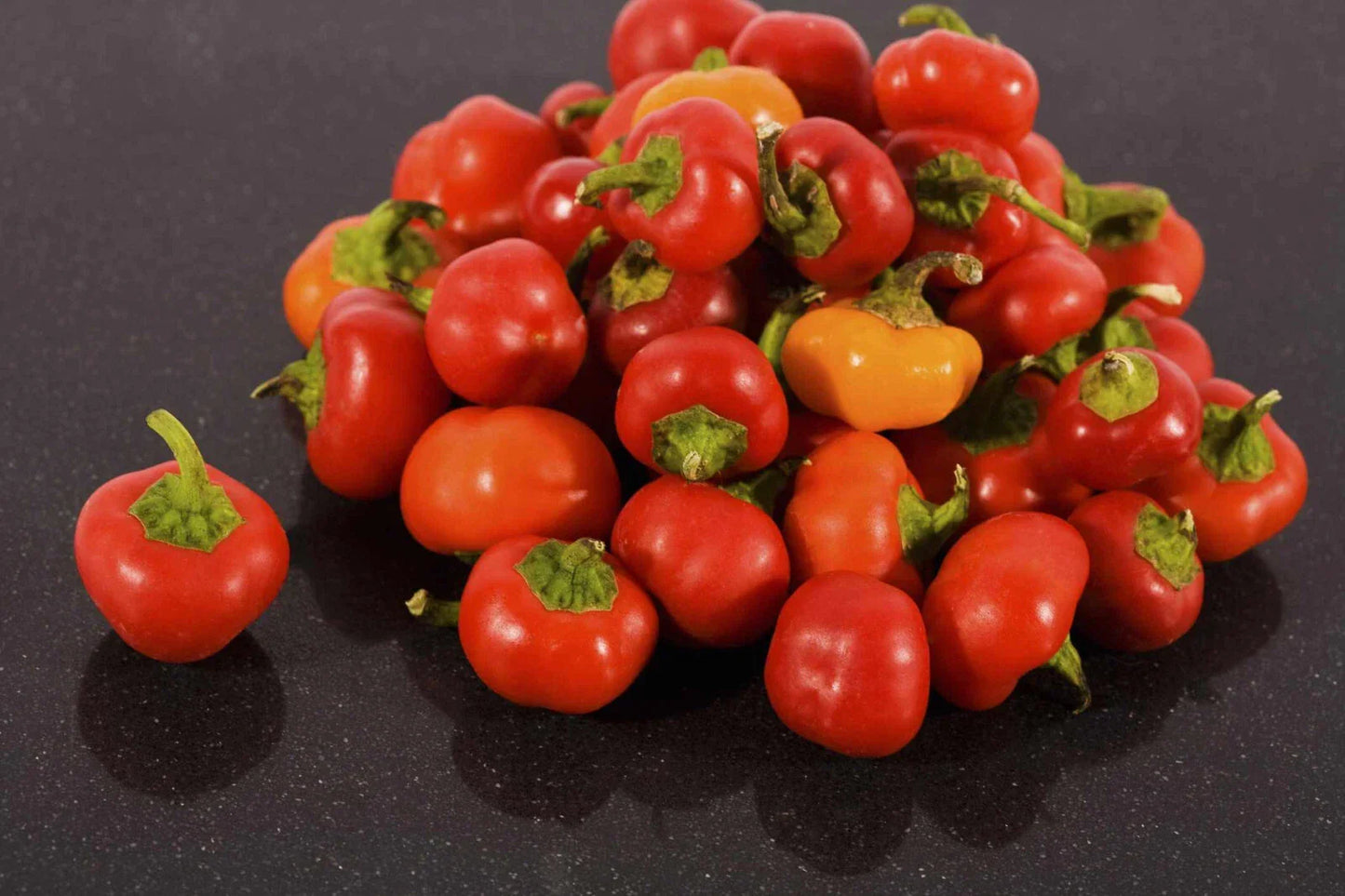 Pimento Red Pepper Seeds - 5000 Count Non-GMO Capsicum annuum for Garden Planting