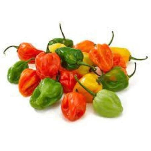 Organic Habanero Hot Pepper Seeds - Heirloom Capsicum chinense for Spicy Garden, 30+ Non-GMO Seeds