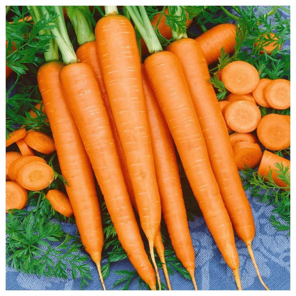 Tendersweet Carrot Seeds - Non-GMO Heirloom Vegetable Seeds Rich in Beta Carotene & Vitamin A