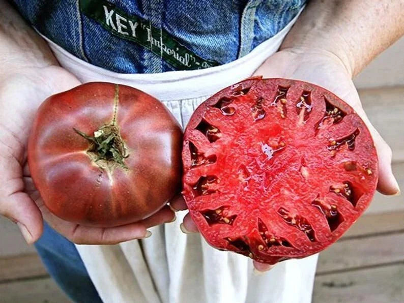 Cherokee Purple Tomato Seeds - 30+ Heirloom Non-GMO Seeds for Organic Gardening