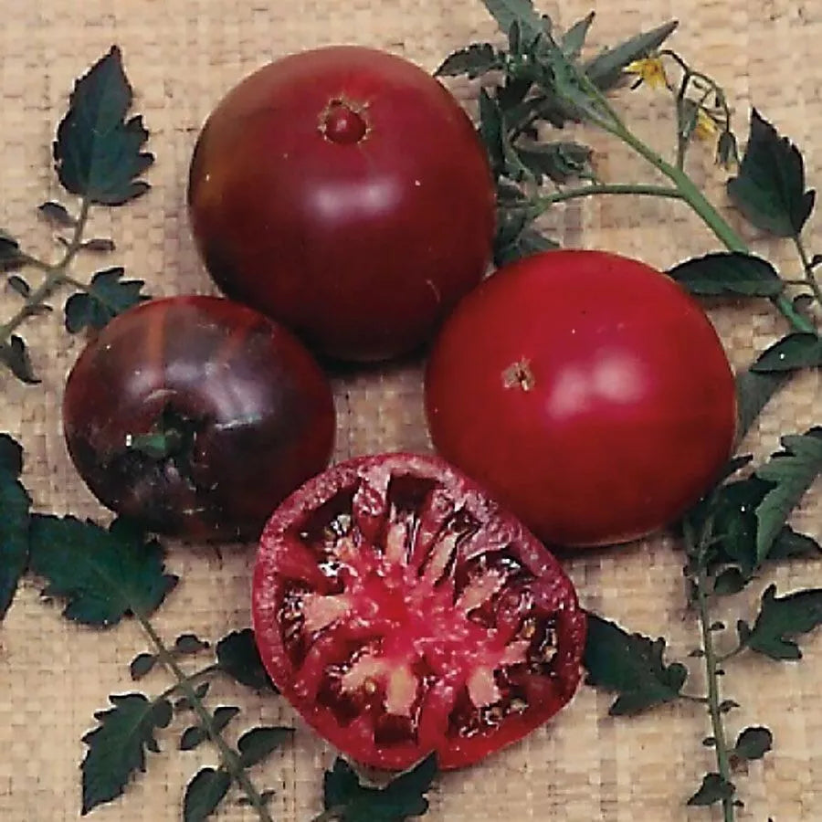 Russian Black Krim Tomato Seeds – Organic Heirloom, Non-GMO, Solanum lycopersicum, 30+ Seeds for Garden, Container & Bed Planting