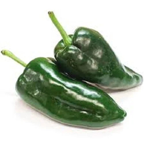 Organic Poblano Hot Pepper Seeds – Ancho Variety, Capsicum annuum, Mild 1000 Scoville, Garden & Container Planting