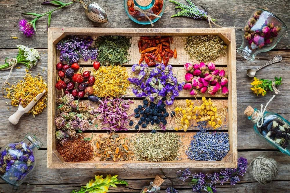 Essential Oils Garden Seed Kit with Peppermint, Lavender, Tea Tree, Eucalyptus Aromatic Herb Seeds for DIY Gardening