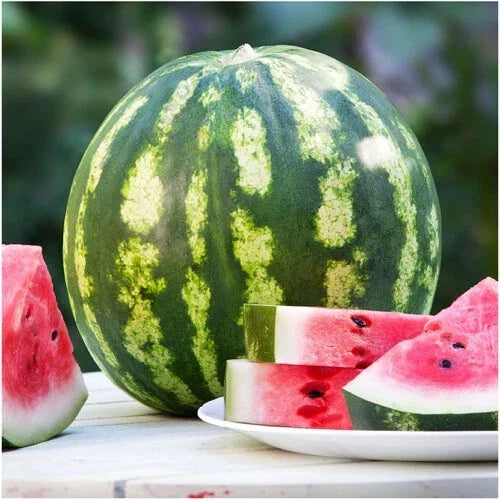 Crimson Sweet Watermelon Seeds | Heirloom Non-GMO Organic Citrullus lanatus | Juicy, Sweet, Large Melons Seed Packet