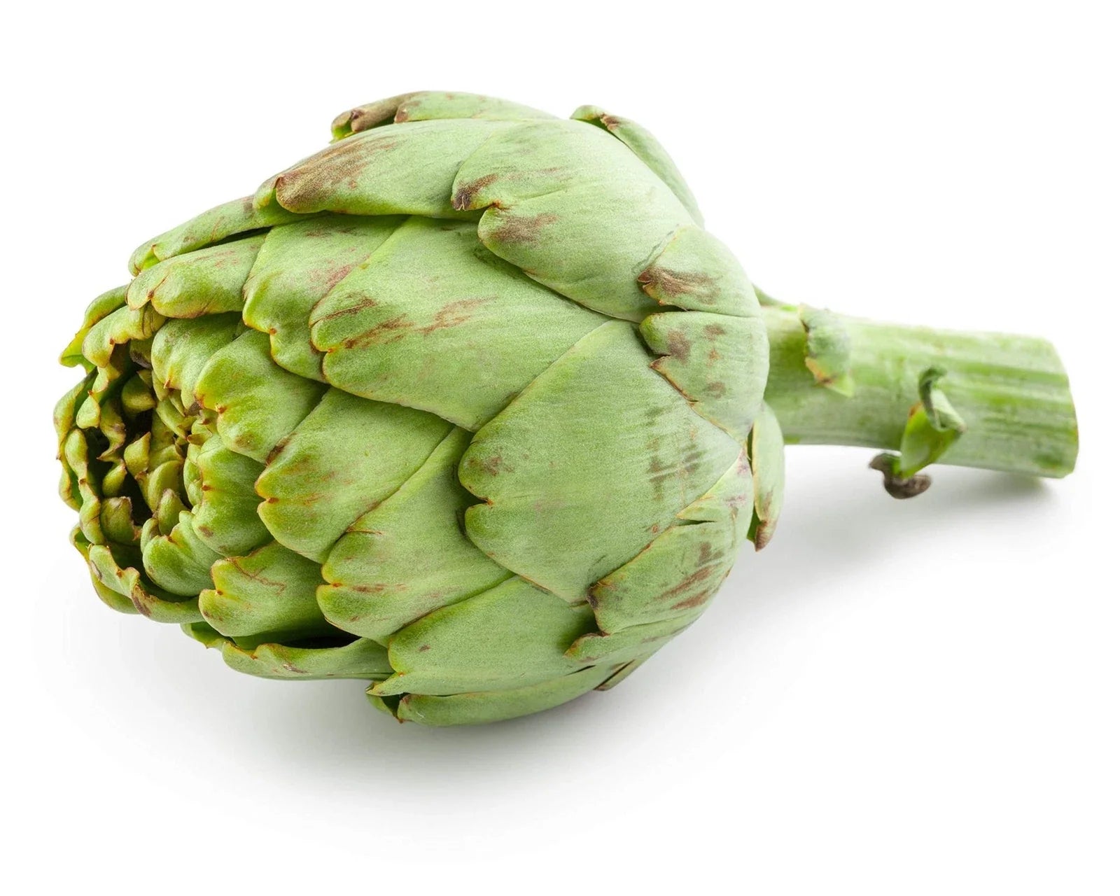 Exotic Globe Artichoke Seeds - 100+ Cynara scolymus Vegetable Seeds for Gardening, Edible Perennial Plant
