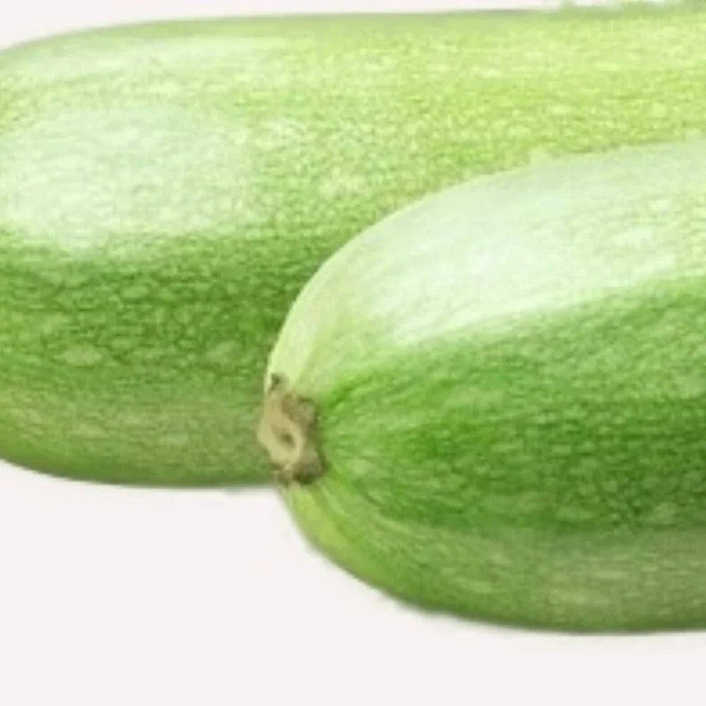 Italian Squash Zucchini Seeds | Non-GMO Heirloom Cucurbita pepo | Fresh Garden Seeds