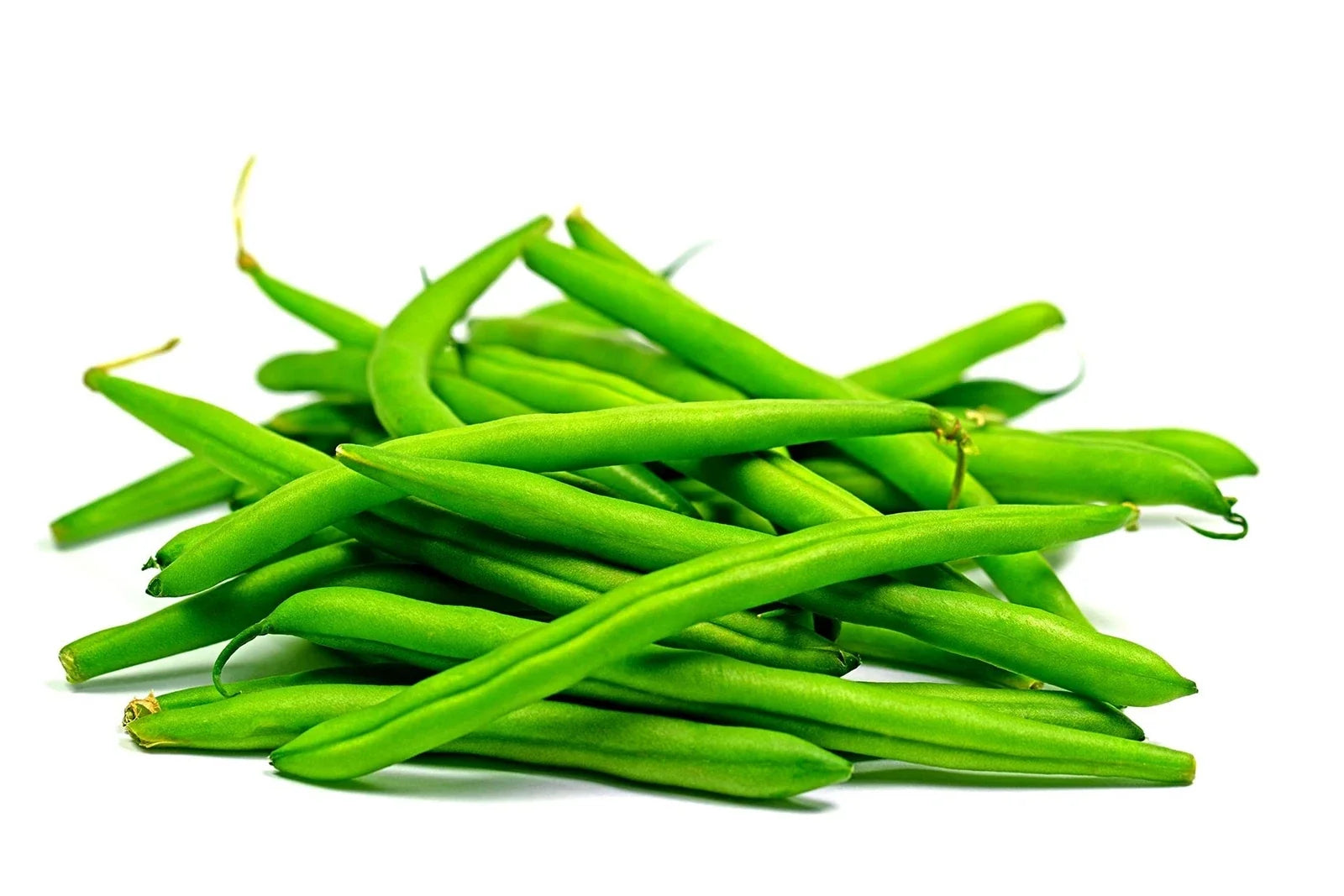Green Bean Seeds - Provider Bush Variety - Non-GMO, USA Grown, Compact Growth, Perfect for Home Gardening, 50+ Seeds