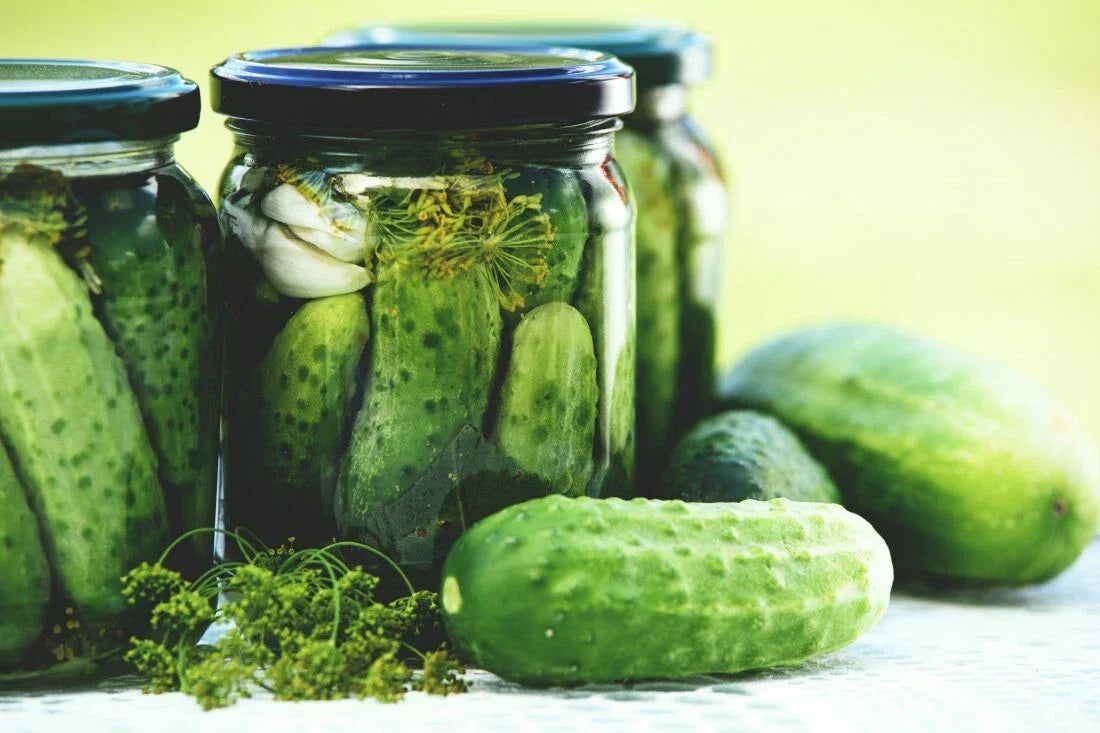 Boston Pickling Cucumber Seeds - 50+ Non-GMO Heirloom Cucumis sativus