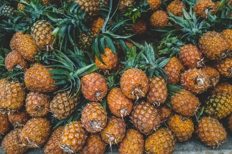 Brecheche Pineapple Seeds, Tropical Fruit Seeds, Ananas comosus, Garden Planting, Non-GMO, USA