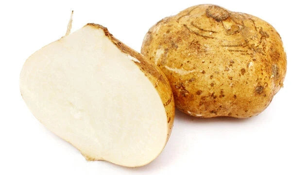 Jicama Seeds - 5 Heirloom Pachyrhizus Erosus - Mexican Yam Bean for Salads & Snacks - Sweet, Crunchy, Non-GMO