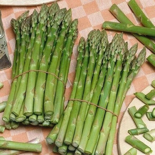 Asparagus Seeds Pack 200+ Organic Heirloom Non-GMO | Asparagus officinalis Vegetable Seeds