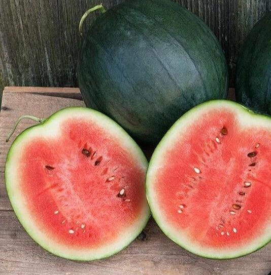 Fresh Sugar Baby Watermelon Seeds - 20 Count, Heirloom Citrullus lanatus for Home Garden, Compact Bush, Juicy & Sweet