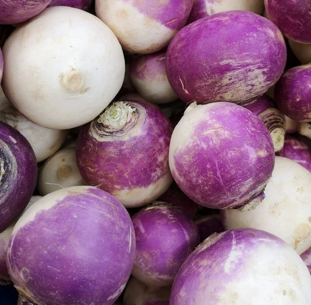 Purple Top Turnip Seeds - Non-GMO Heirloom Brassica rapa, Compact, Fast-Growing, Edible Root, Vegetable Seeds for Planting