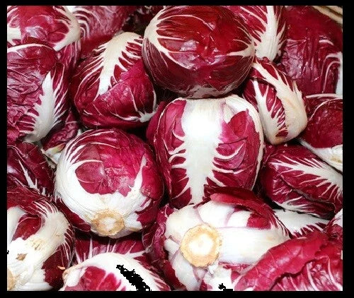 Radicchio Seeds - 5,000 Bulk Rouge De Verona Red Chicory Seeds - Cichorium intybus, Salad, Culinary, Non-GMO