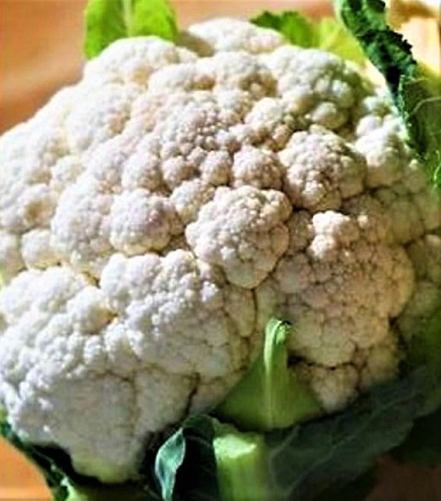 Self Blanching Cauliflower Seeds – Non-GMO Brassica oleracea, 200+ Seeds for Home Gardening & Raised Beds
