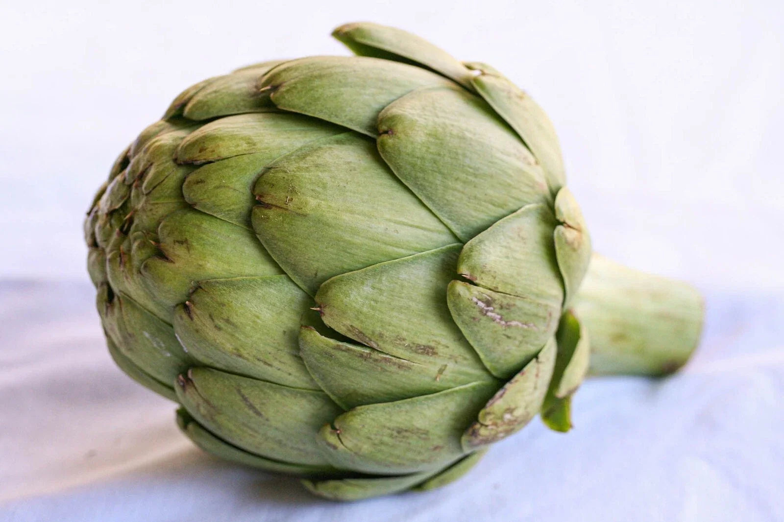 Artichoke Seeds - Heirloom Variety - Cynara scolymus - 5 Pack, Non-GMO, Full Sun, Perennial Vegetable for Home Gardens