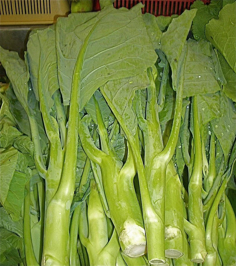 Heirloom KAILAAN Chinese Broccoli Kale Seeds - 250 Pack - Brassica oleracea var. alboglabra