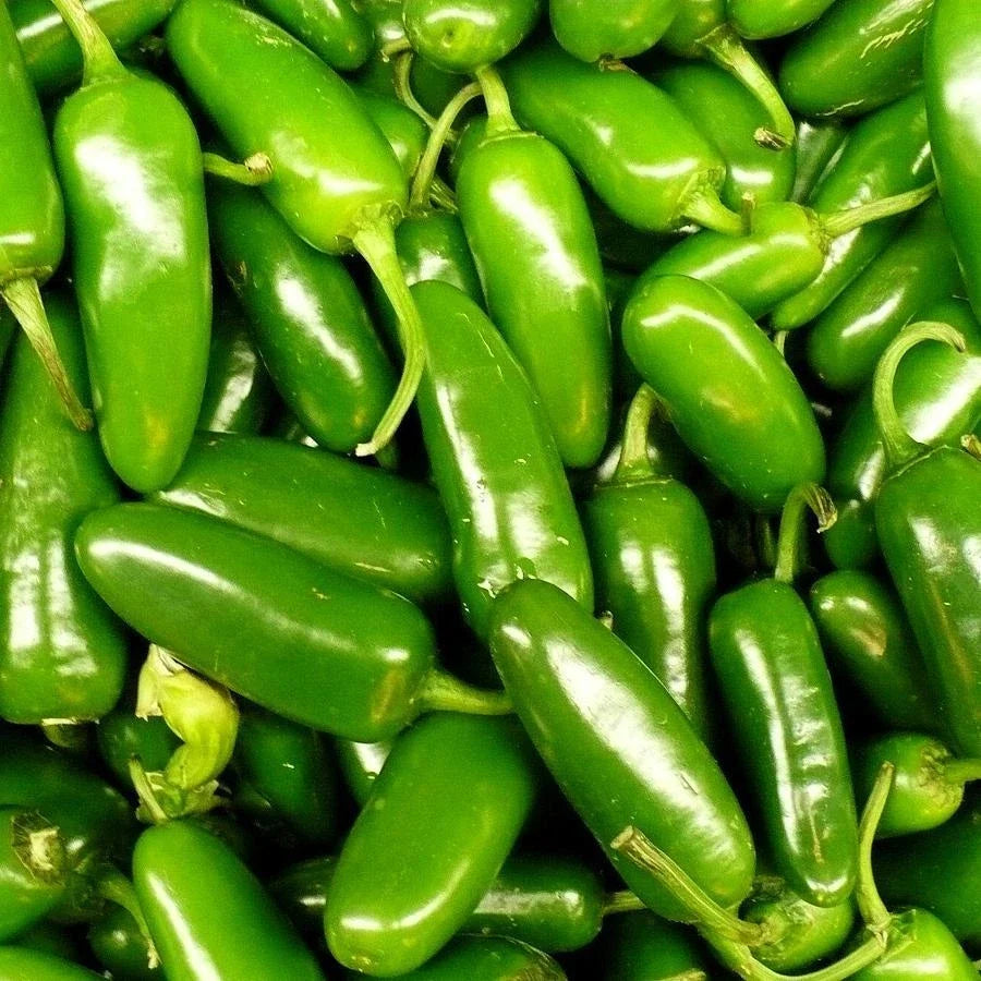 Jalapeno Pepper Seeds - Heirloom Capsicum annuum for Home Gardening - Spicy Peppers, Salsas, and Cooking