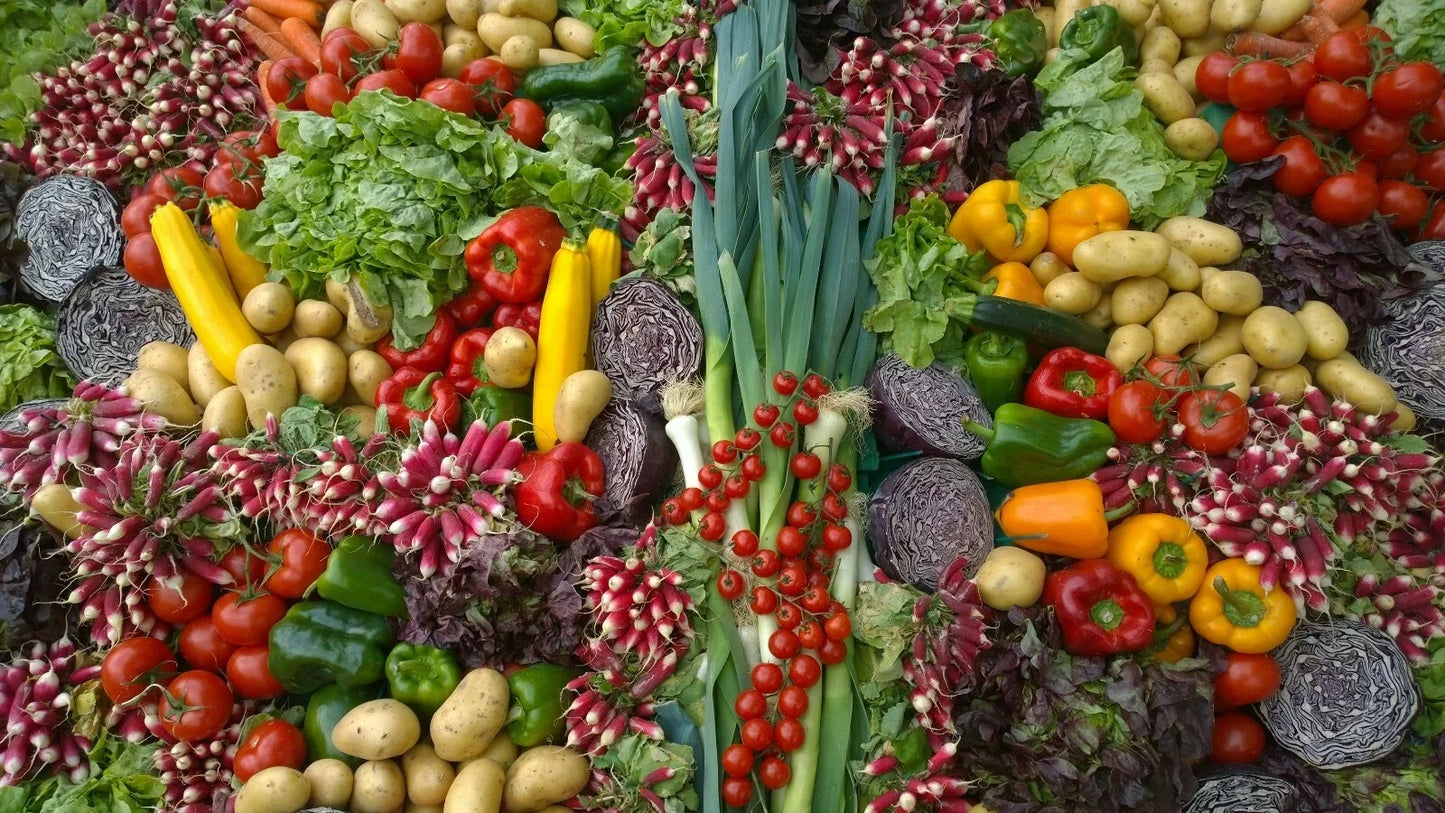 Emergency Survival Seed Bank 21,500+ Seeds 42 Varieties Edible Medicinal Herbal Seed Collection
