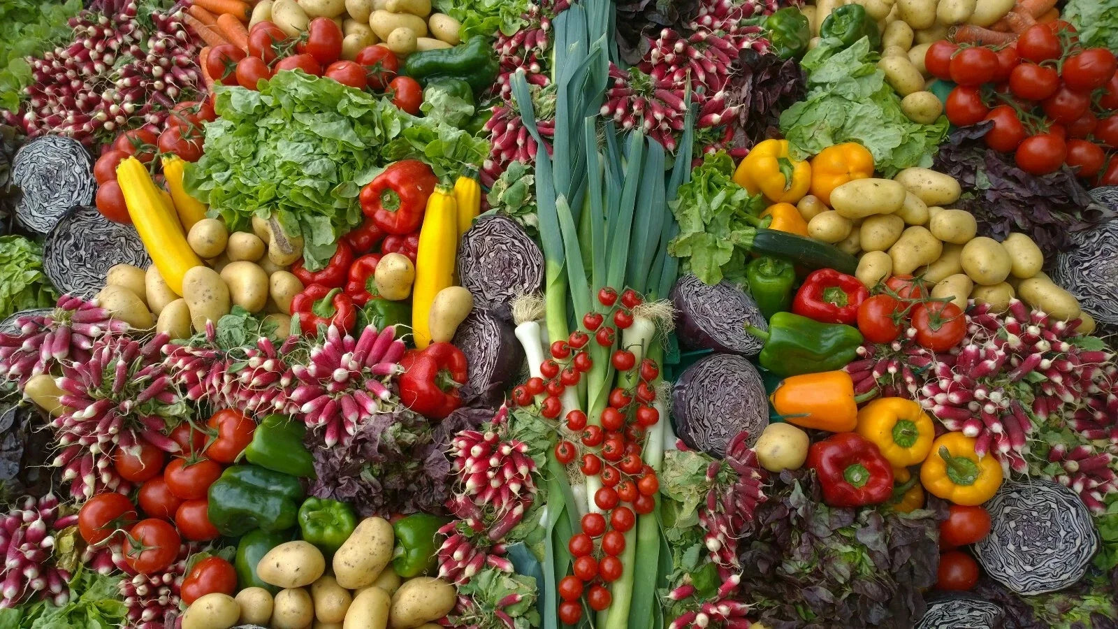 Emergency Survival Seed Bank 21,500+ Seeds 42 Varieties Edible Medicinal Herbal Seed Collection