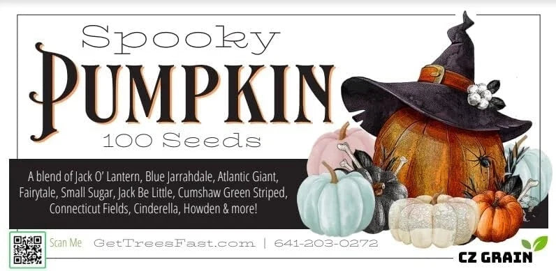 Spooky Blend Pumpkin Seeds - 100 Mixed Heirloom Cucurbita pepo for Planting, Fall Decor & Cooking