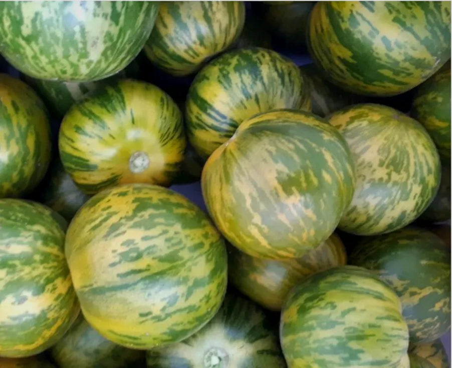 Green Zebra Tomato Seeds 50 Ct Heirloom NON-GMO Vegetable Garden Seeds