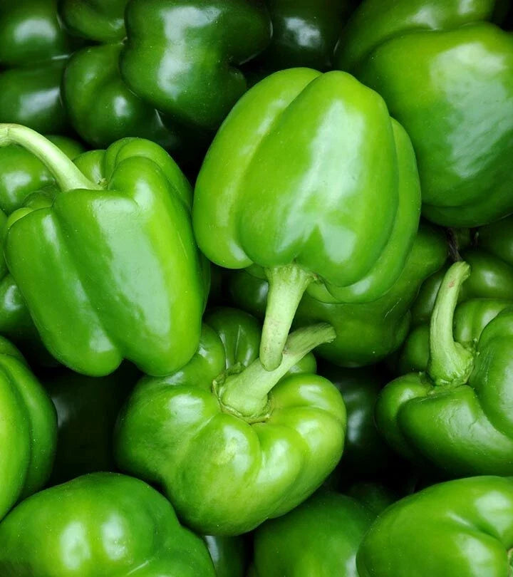 Sweet Pepper Seeds - Bushel Buster Bell 5.1 Green - Capsicum annuum - High Yield, Large, Juicy Bell Peppers, Garden or Container Growing